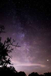 Low angle view of silhouette trees against sky at night