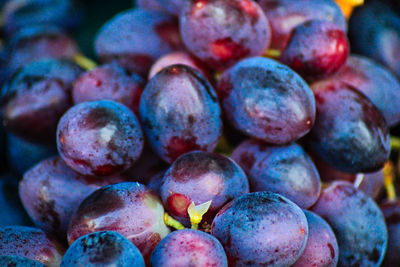 Full frame shot of blueberries