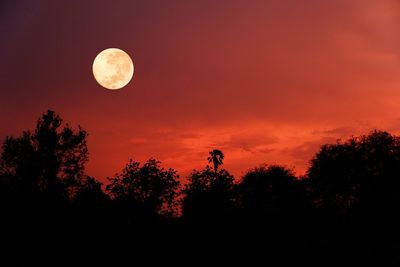 Silhouette trees against sky during sunset