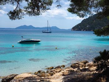 Boats moored in sea