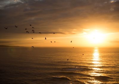 Silhouette birds flying over sea against cloudy sky during sunset