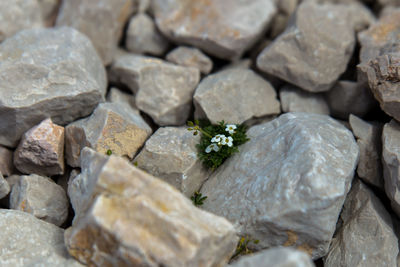 Full frame shot of stones