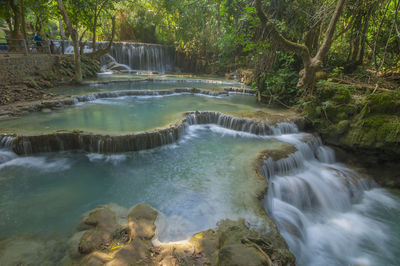 Scenic view of waterfall in forest