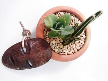 High angle view of potted plant with wooden mask and key over white background