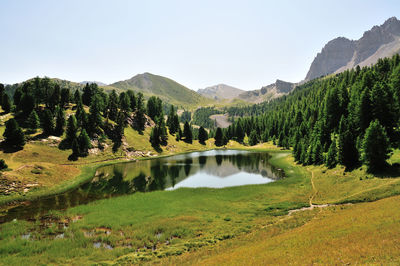 Mirror lake and pine forest above the village of ceillac, queyras regional natural park, france.