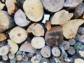 Full frame shot of logs in forest