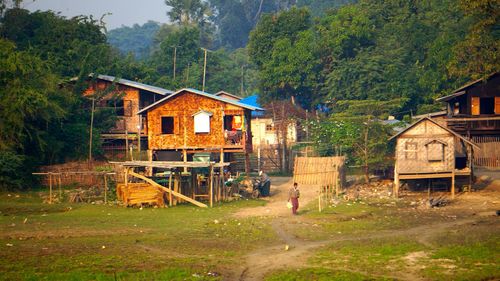 Houses in the forest