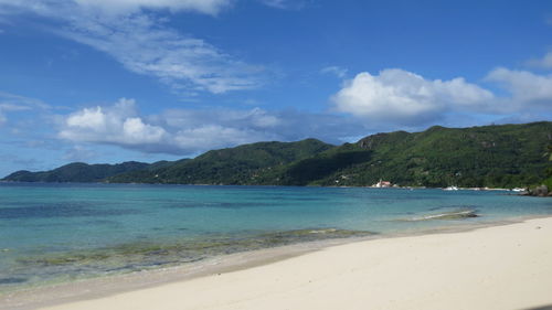 Scenic view of beach against sky