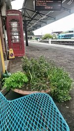 View of plants in city