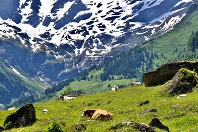 Scenic view of mountains