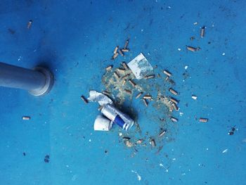 High angle view of garbage on blue surface