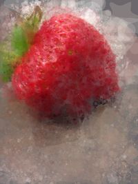 Close-up of red rose