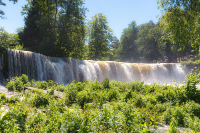 Scenic view of waterfall against trees in forest