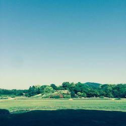 Park against sky