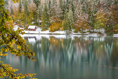 Scenic view of lake in forest during autumn