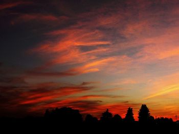 Silhouette of trees at sunset