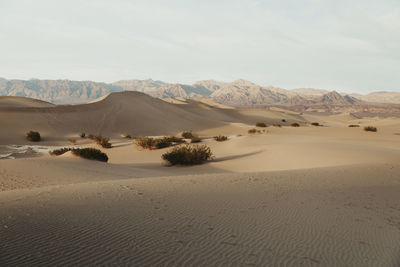 Scenic view of desert against sky