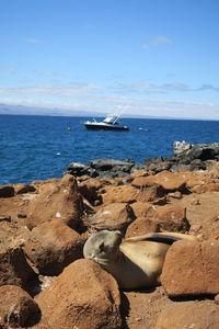 Scenic view of sea against sky