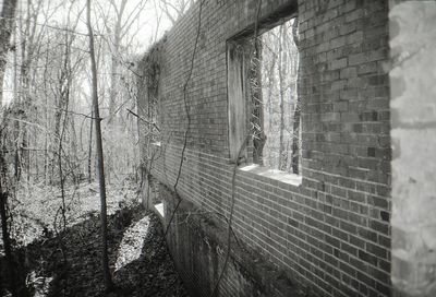 Window of old building