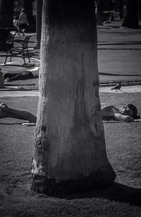 Woman standing on tree trunk