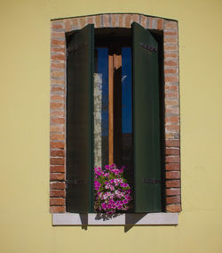 Flower pots on window of building
