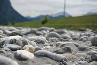 Surface level of stones on beach