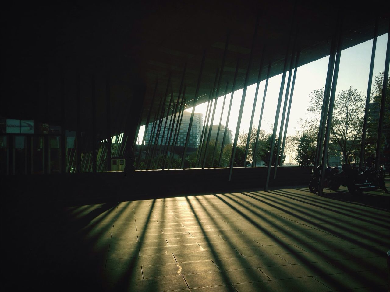 built structure, tree, architecture, indoors, sunlight, shadow, railing, sky, fence, day, no people, window, growth, nature, architectural column, glass - material, tranquility, pattern, metal