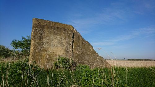 Low angle view of grassy field against clear blue sky