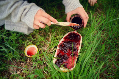 At a picnic spreads jam on bread. high quality photo