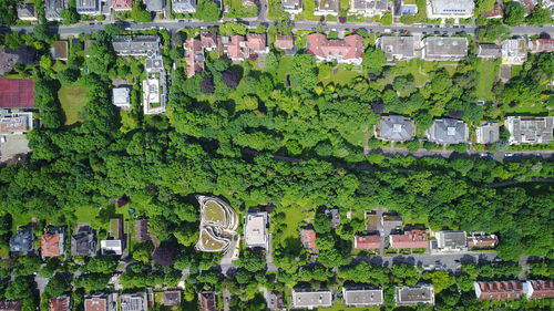 High angle view of townscape and trees in city
