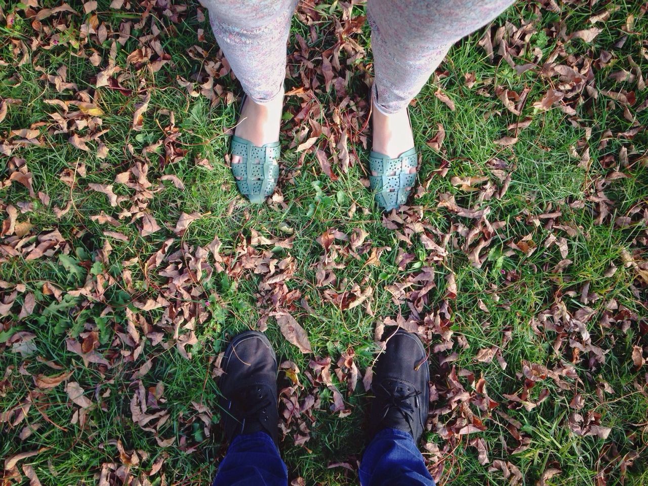 low section, person, shoe, human foot, standing, lifestyles, personal perspective, footwear, grass, leisure activity, high angle view, men, field, part of, unrecognizable person, jeans, leaf