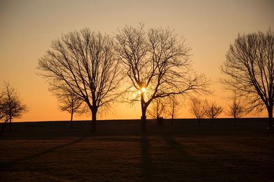 Silhouette of bare trees on landscape