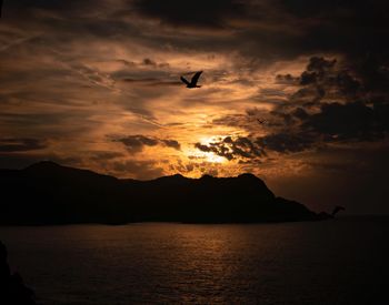Silhouette birds flying over sea against sunset sky