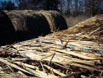 Close-up of hay bales on field