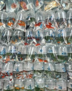 Full frame shot of fish in plastic hanging at market for sale