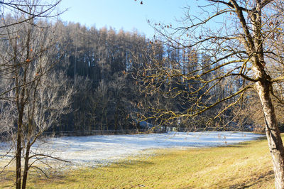 Scenic view of lake in forest during winter