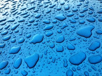 Close-up of raindrops and condensation on bright blue metallic waxed surface