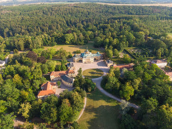 High angle view of trees and buildings in forest