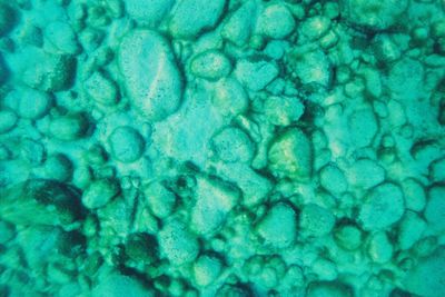 Full frame shot of water surface