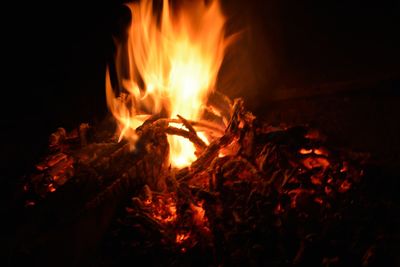 Close-up of bonfire at night