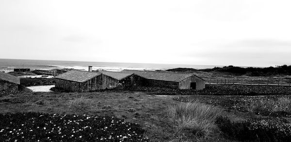 Houses on field by sea against sky