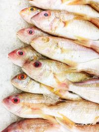 Close-up of fish for sale in market