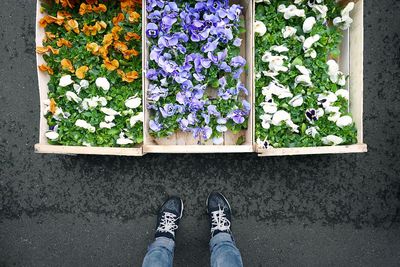 Low section of man standing by flowers at market