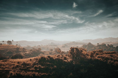 Scenic view of landscape against sky