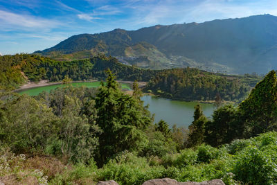 Scenic view of trees and mountains against sky