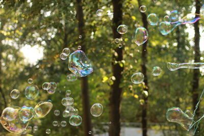 bubble