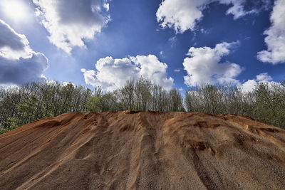 Plants growing on land against sky