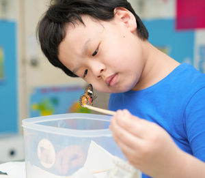 Asian boy look at the butterflies he raised perched on the chopsticks he held with doubt