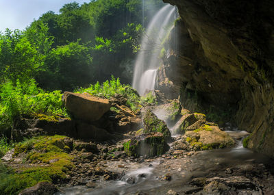 View of waterfall in forest.