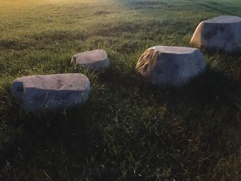 Hay bales on field